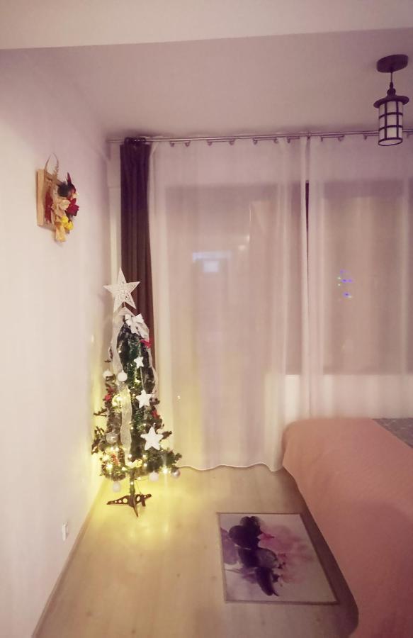 Studio Adela Poiana Brašov Exteriér fotografie