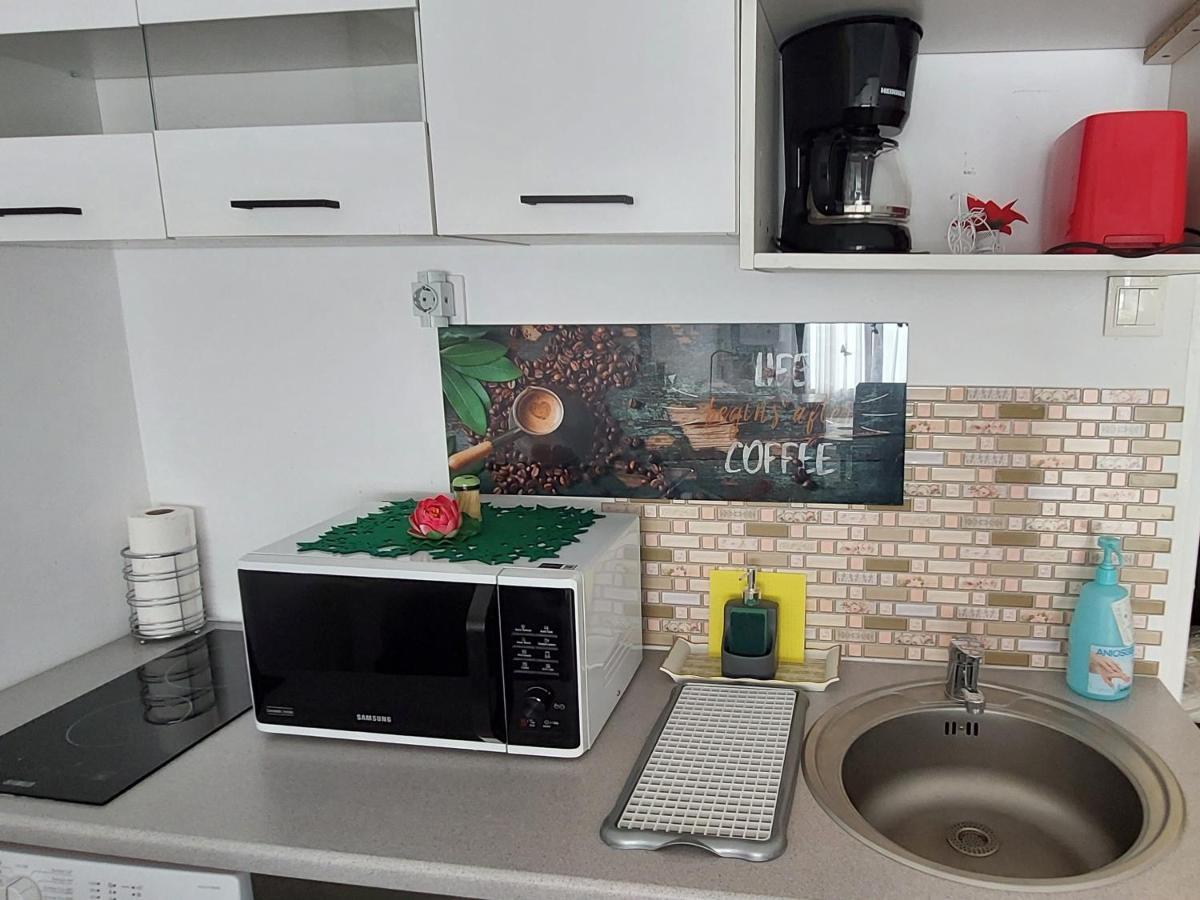 Studio Adela Poiana Brašov Exteriér fotografie