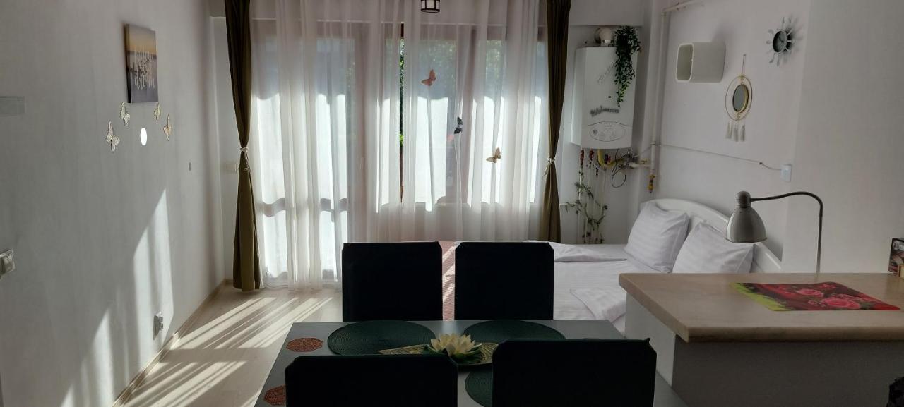 Studio Adela Poiana Brašov Exteriér fotografie